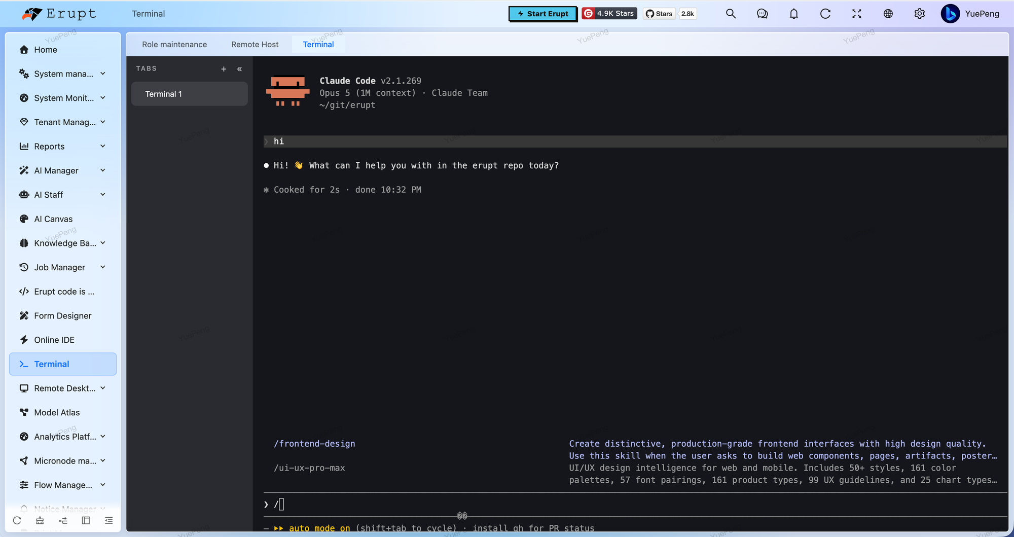 Erupt Terminal